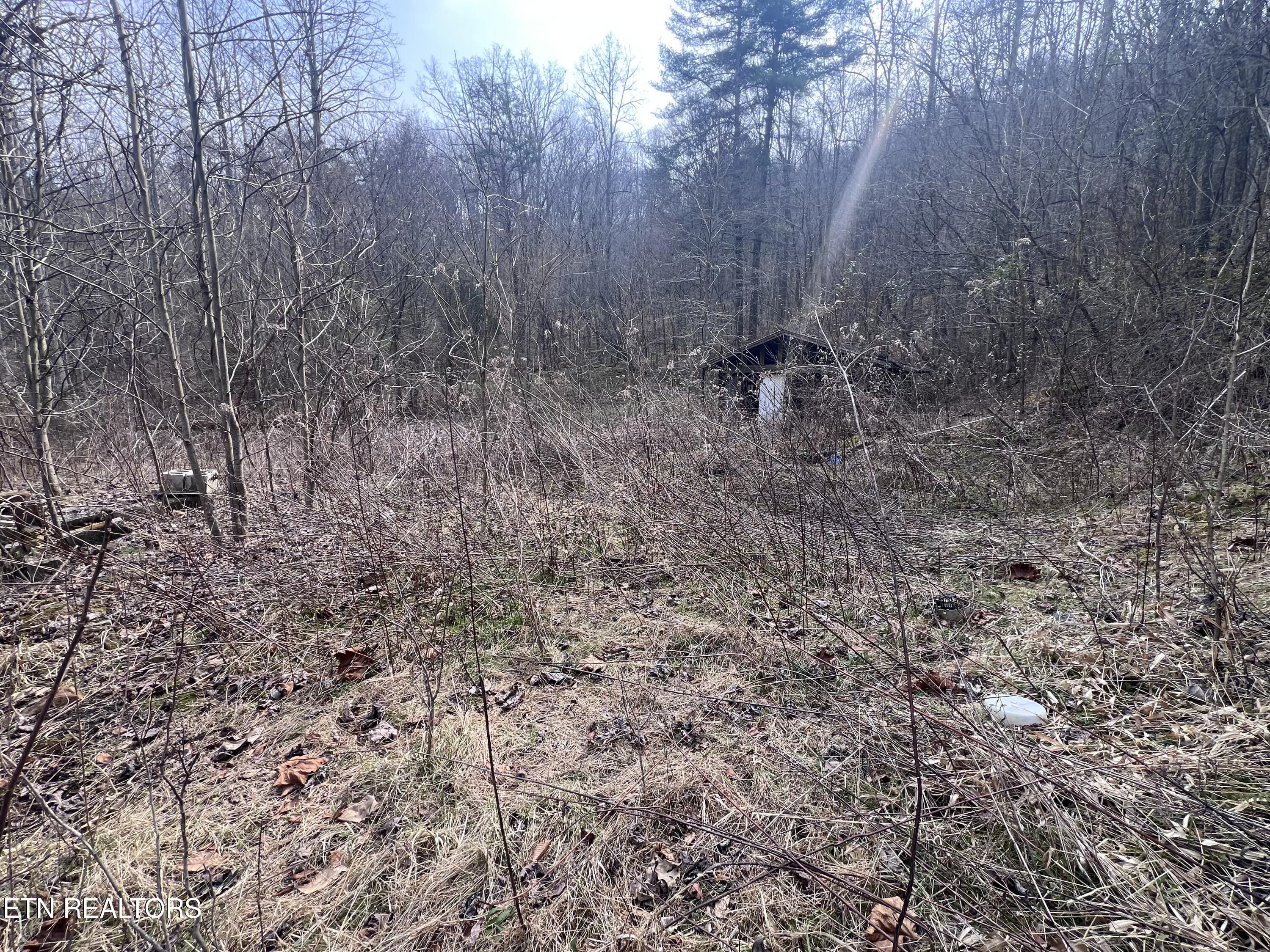 603 Sled Creek Road Duff TN 37729