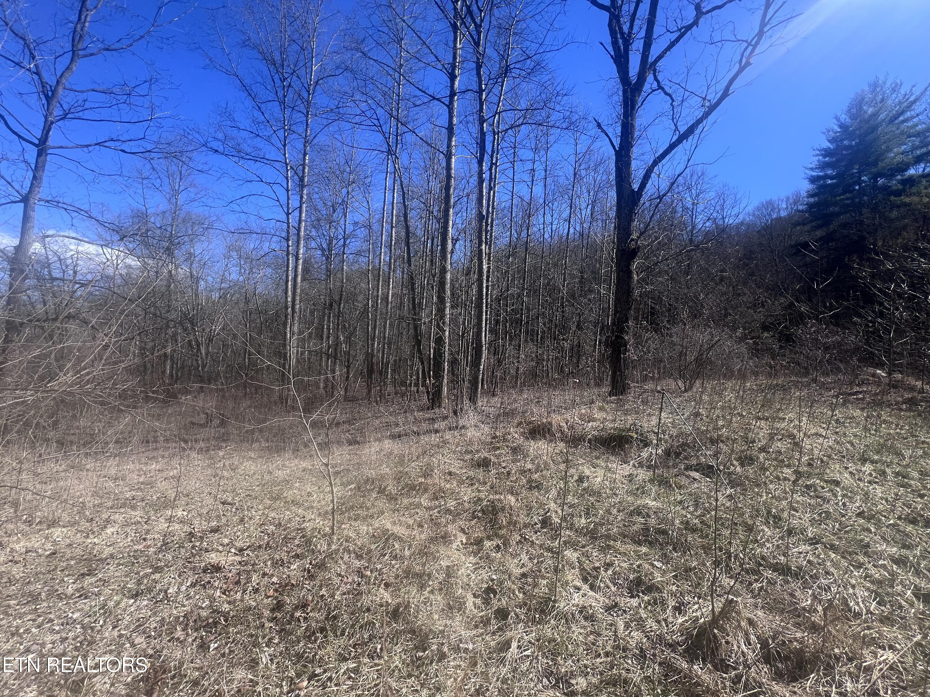 603 Sled Creek Road Duff TN 37729