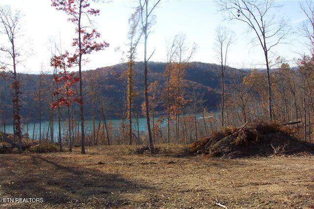 Whitetail Lane Lafollette TN 37766