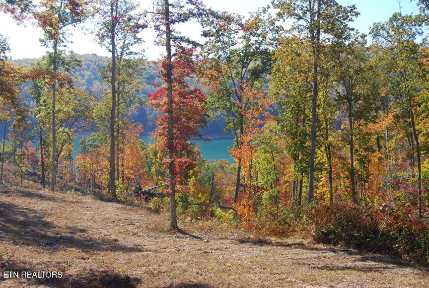 Whitetail Lane Lafollette TN 37766