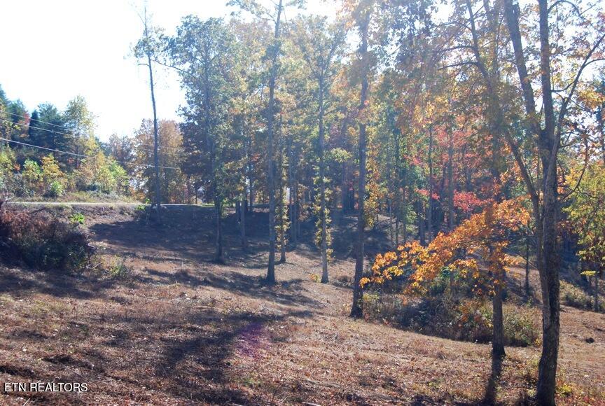 Whitetail Lane Lafollette TN 37766