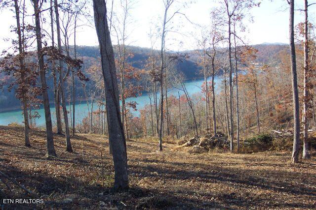 Whitetail Lane Lafollette TN 37766