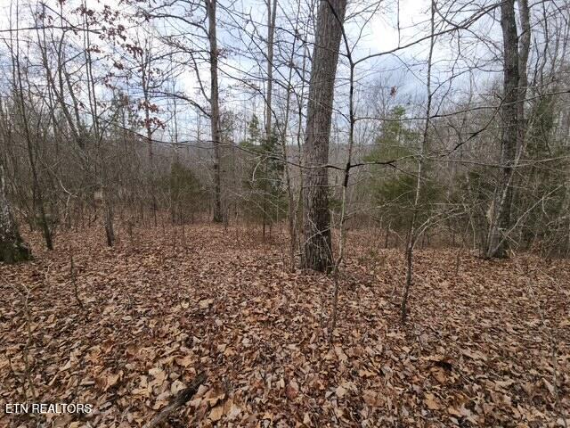 Whitetail Lane Lafollette TN 37766