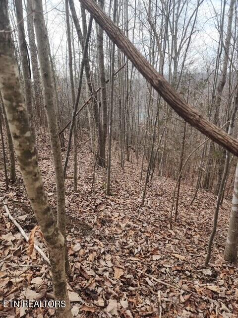 Whitetail Lane Lafollette TN 37766