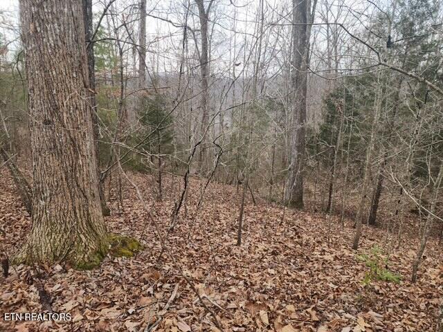 Whitetail Lane Lafollette TN 37766