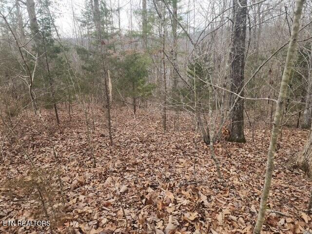 Whitetail Lane Lafollette TN 37766