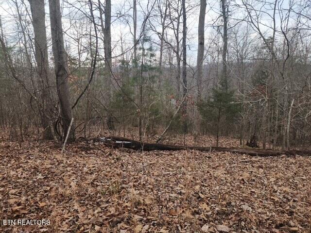 Whitetail Lane Lafollette TN 37766