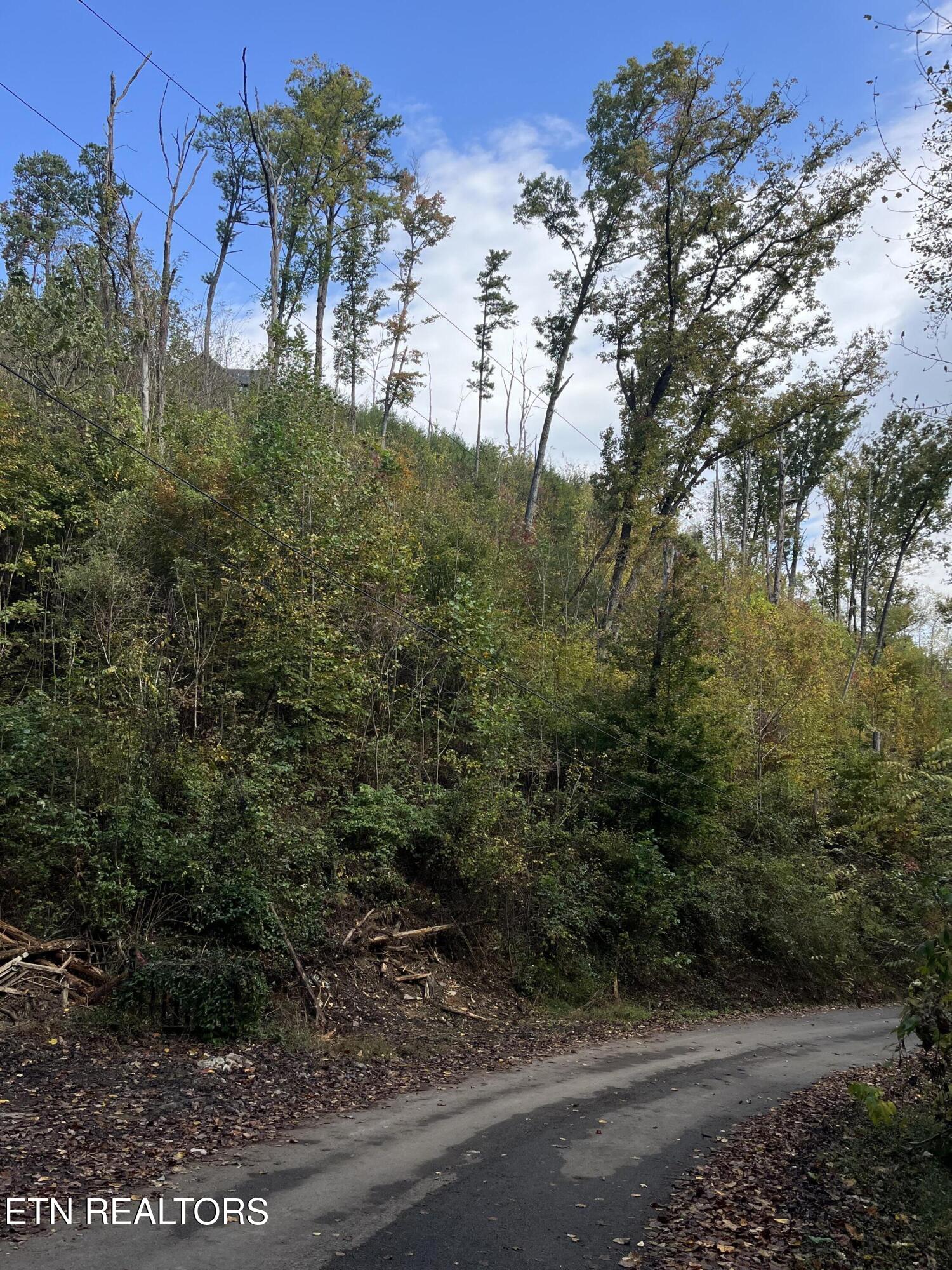 Lot 527 Deep Hollow Road Gatlinburg TN 37738