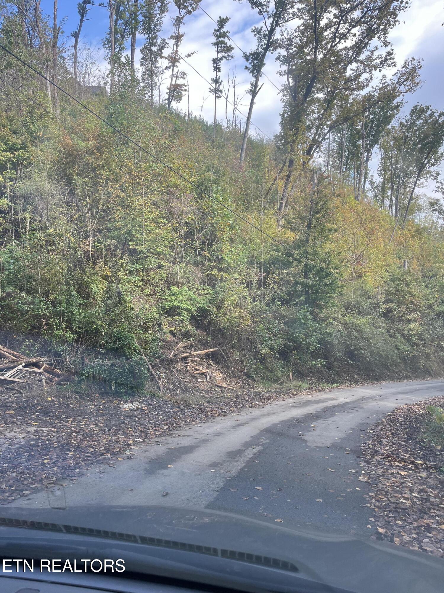 Lot 527 Deep Hollow Road Gatlinburg TN 37738