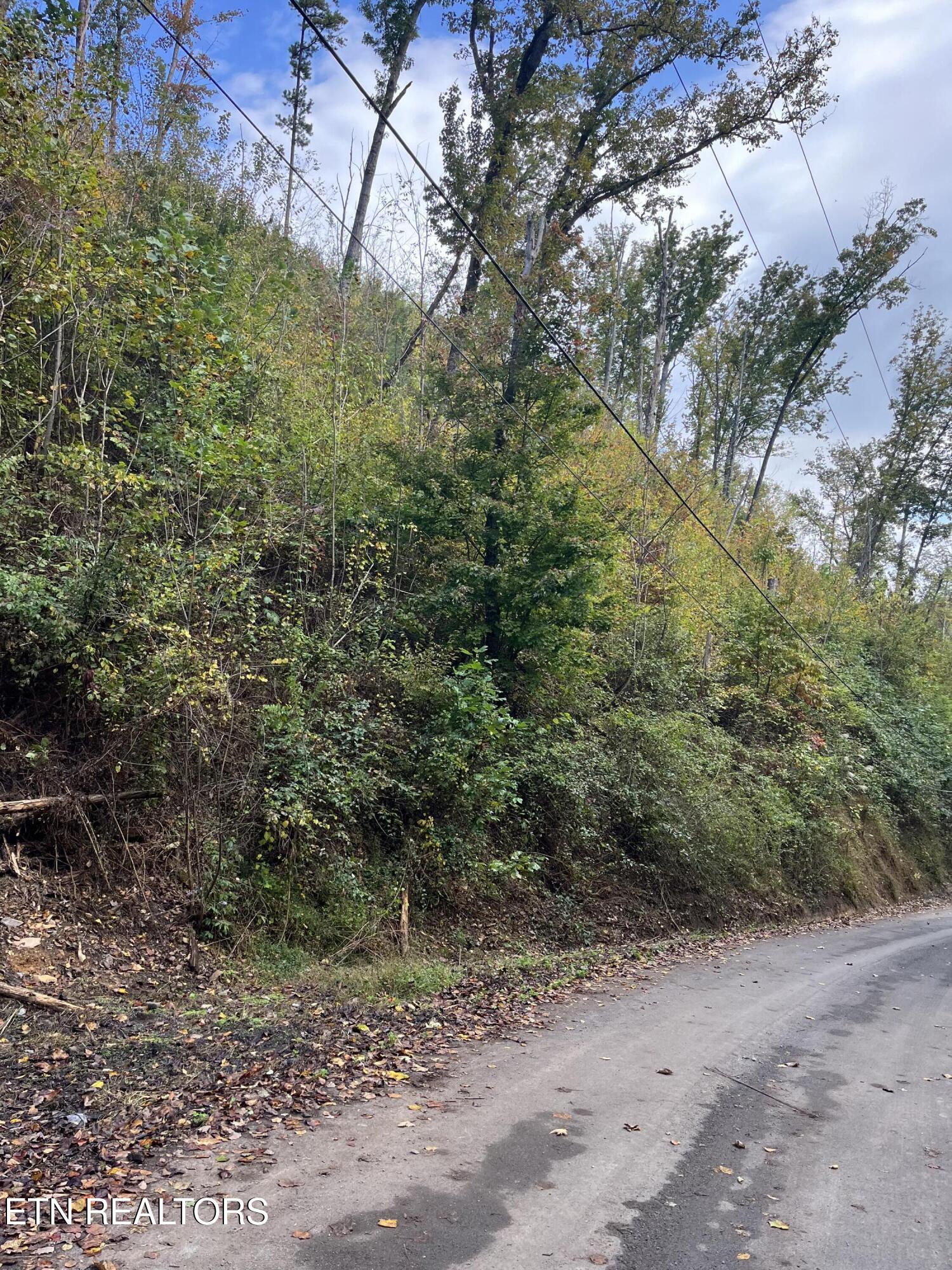 Lot 527 Deep Hollow Road Gatlinburg TN 37738