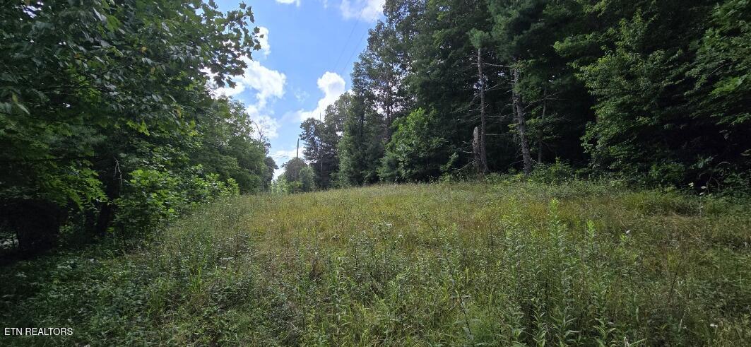 Honey Creek Loop Road Robbins TN 37852