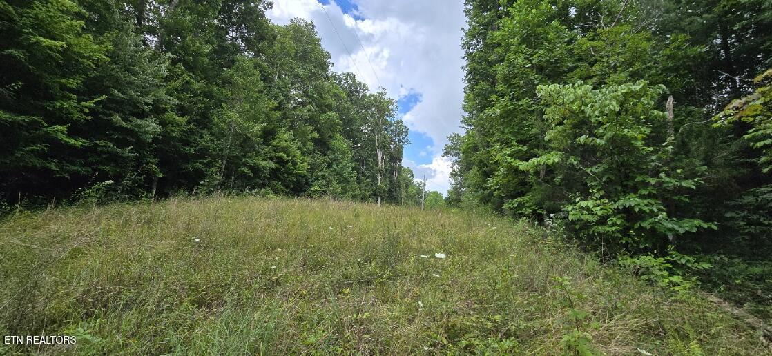 Honey Creek Loop Road Robbins TN 37852