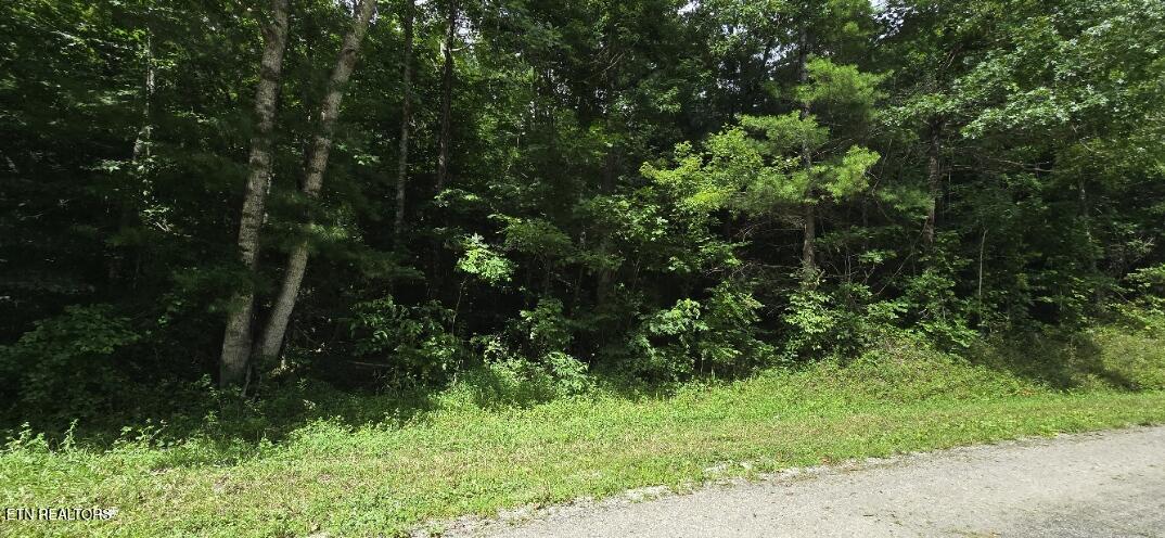 Honey Creek Loop Road Robbins TN 37852