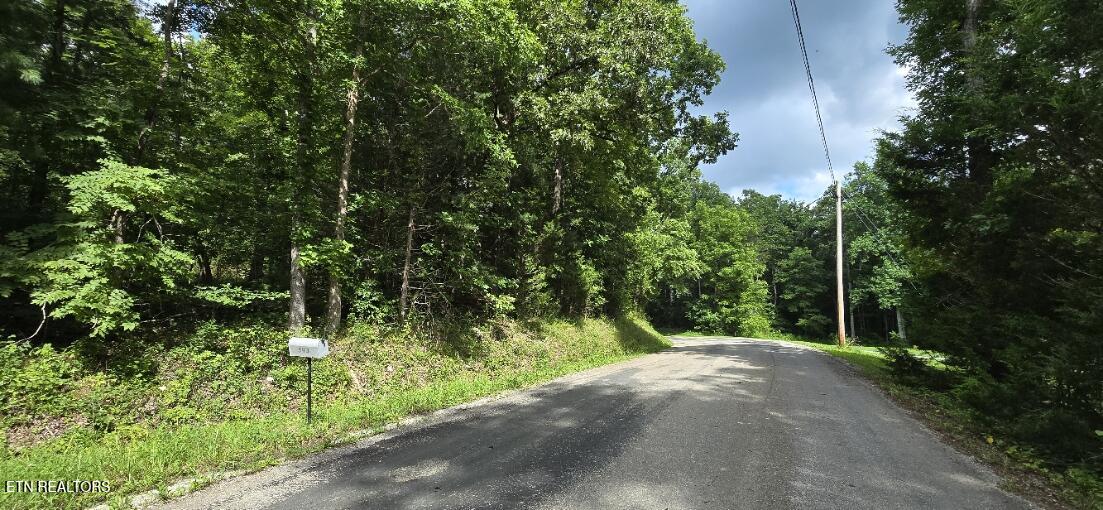 Honey Creek Loop Road Robbins TN 37852