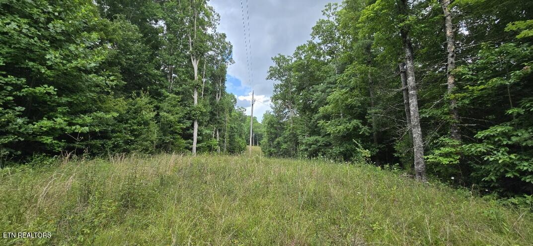 Honey Creek Loop Road Robbins TN 37852