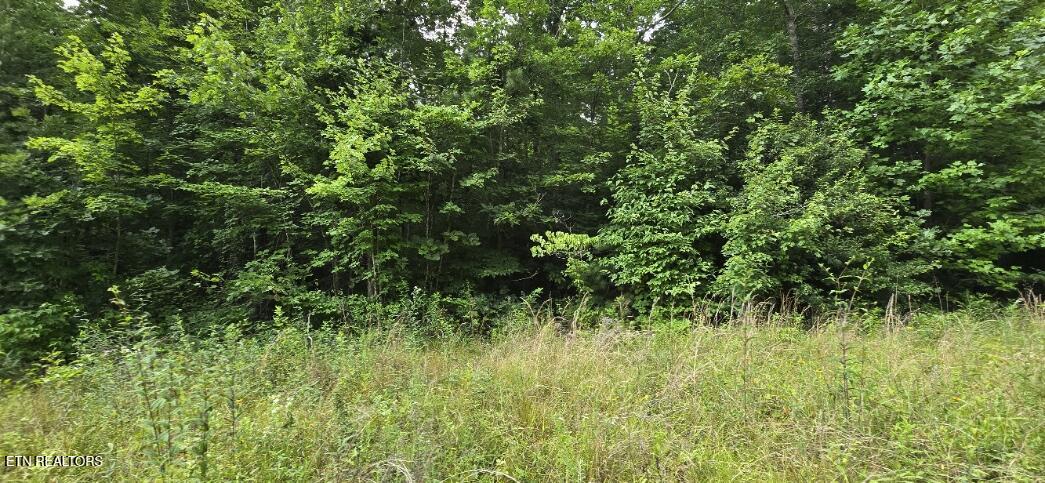 Honey Creek Loop Road Robbins TN 37852