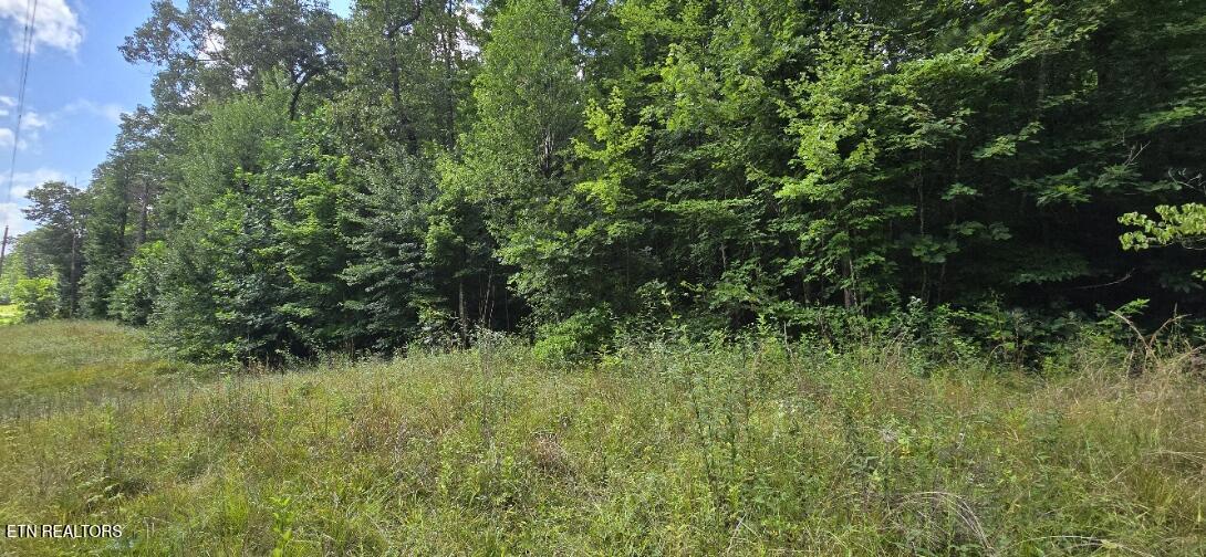 Honey Creek Loop Road Robbins TN 37852