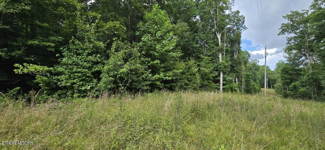 Honey Creek Loop Road Robbins TN 37852