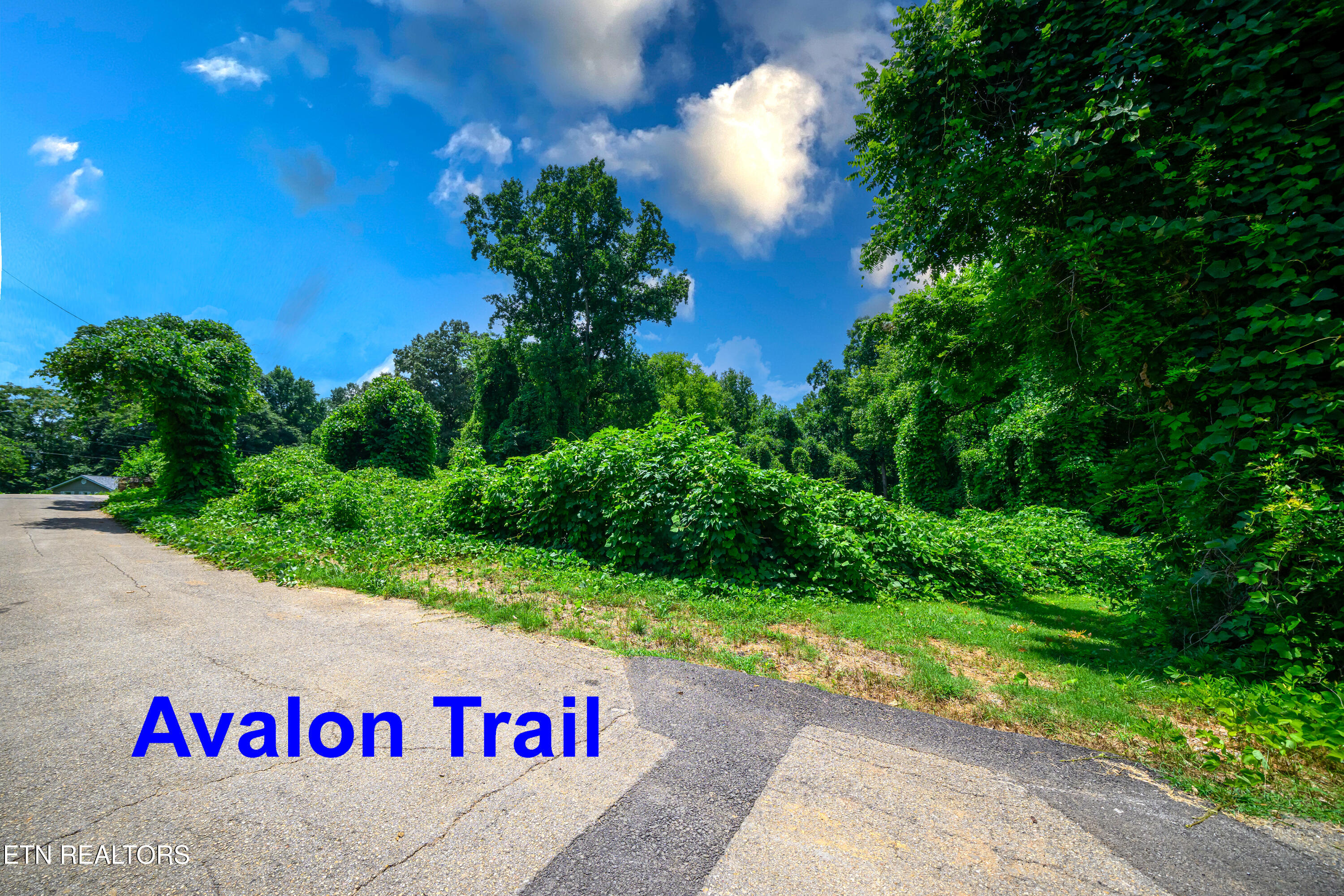 0 Avalon Trail Knoxville TN 37920