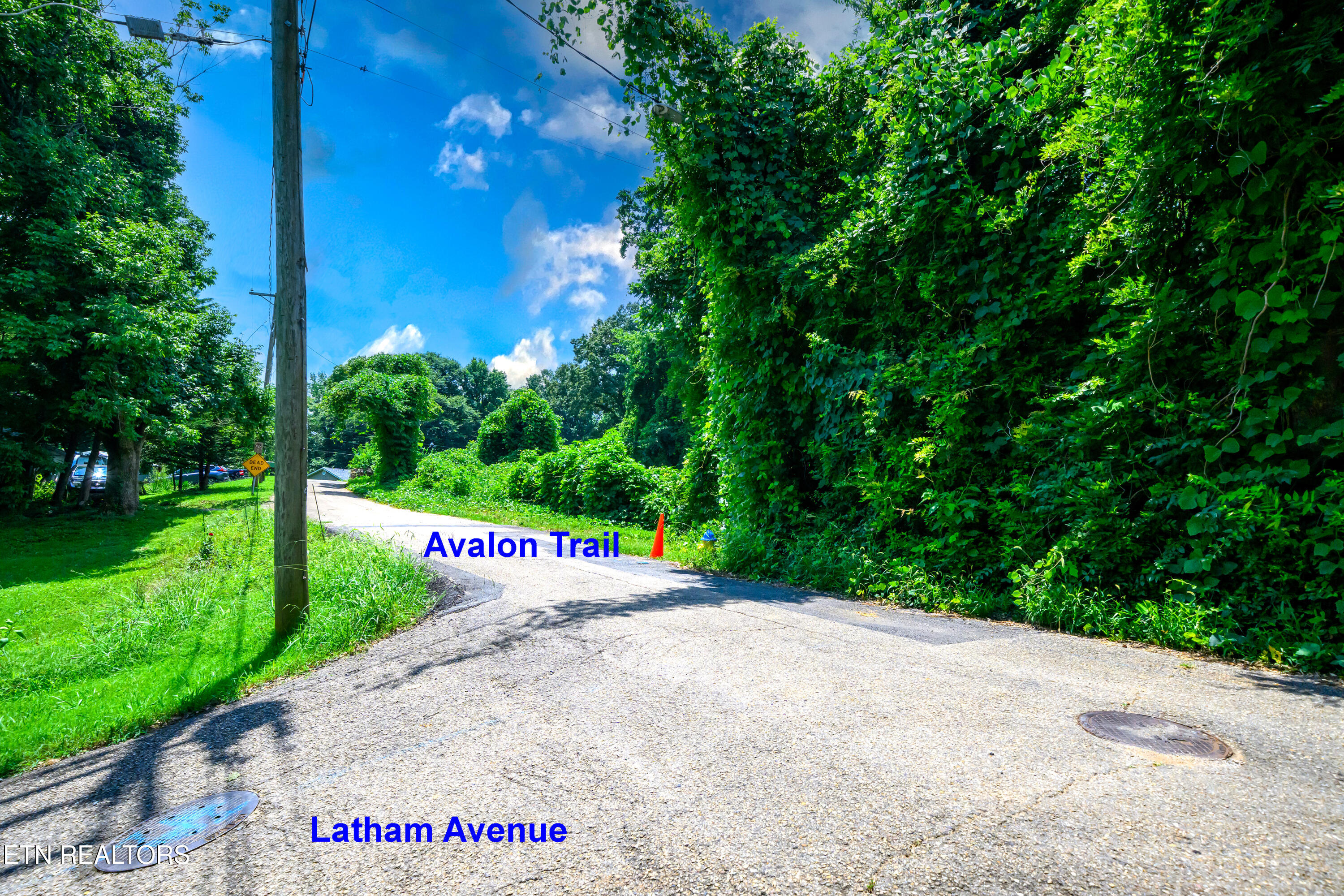0 Avalon Trail Knoxville TN 37920
