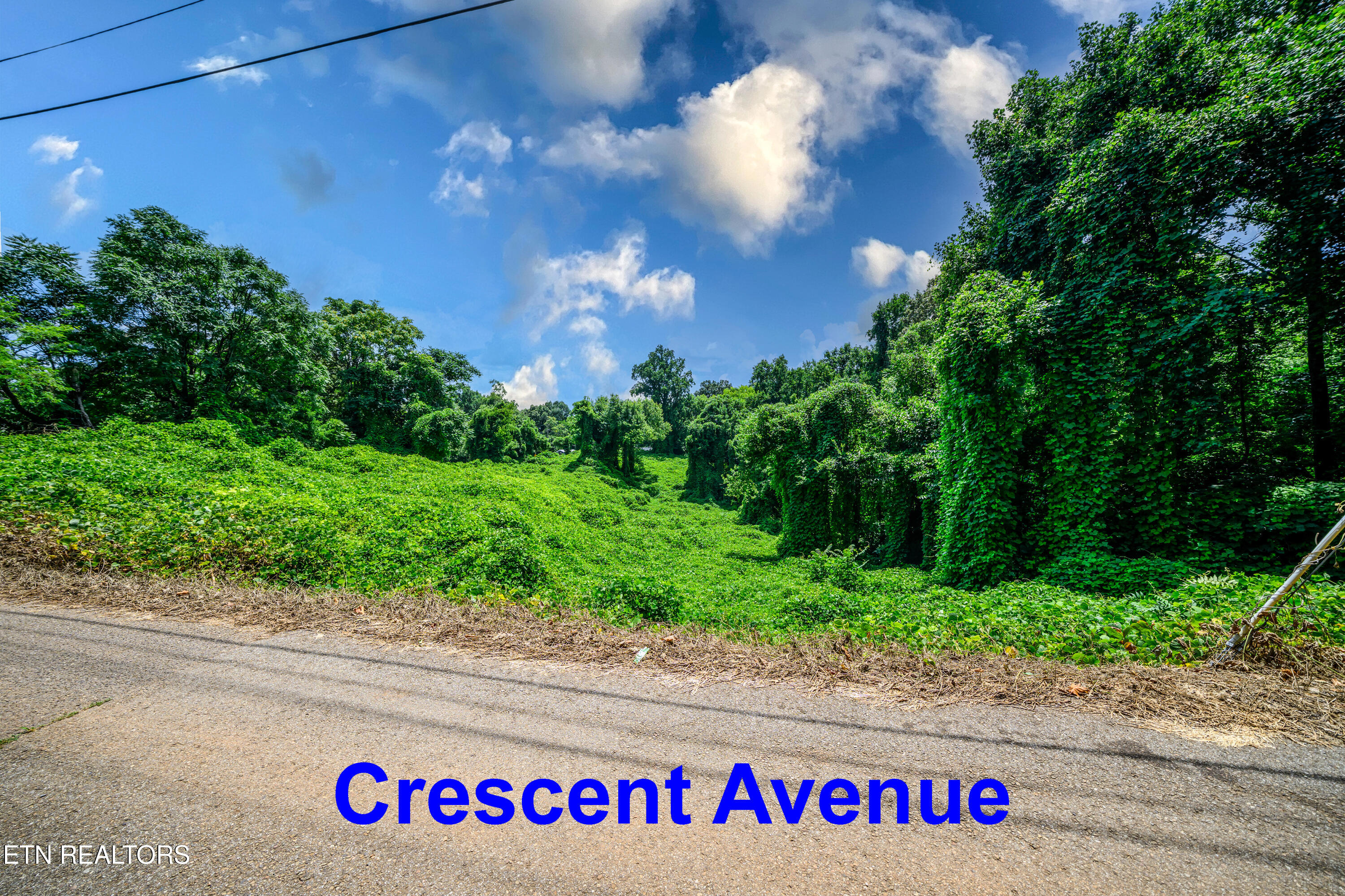 0 Avalon Trail Knoxville TN 37920