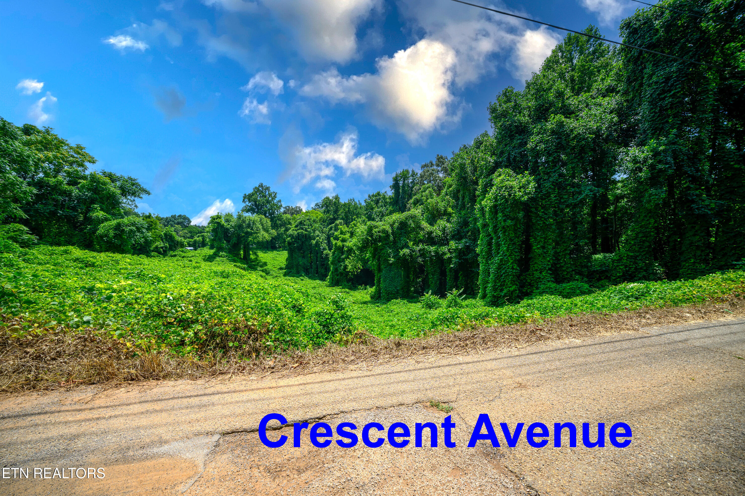 0 Avalon Trail Knoxville TN 37920