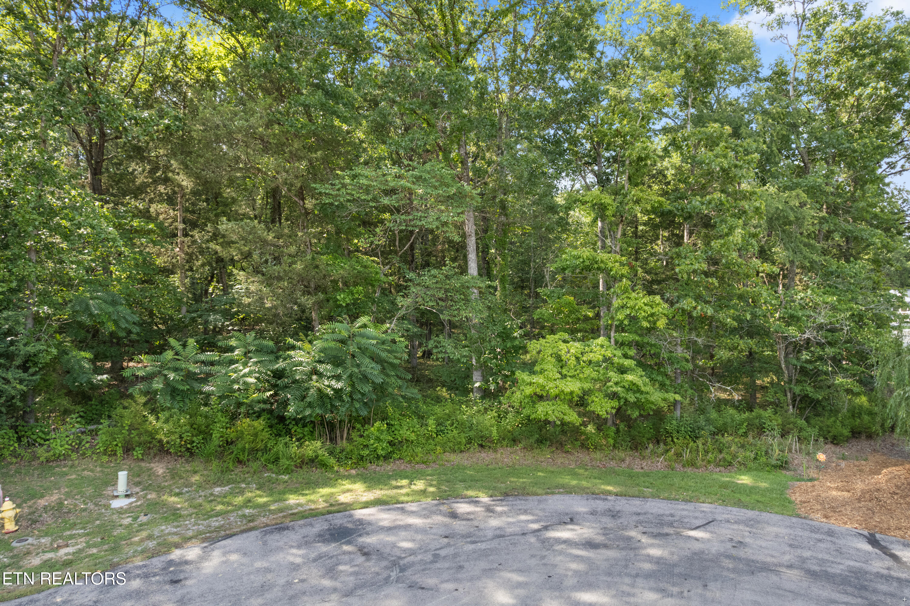 Bay Shore Drive Rockwood TN 37854