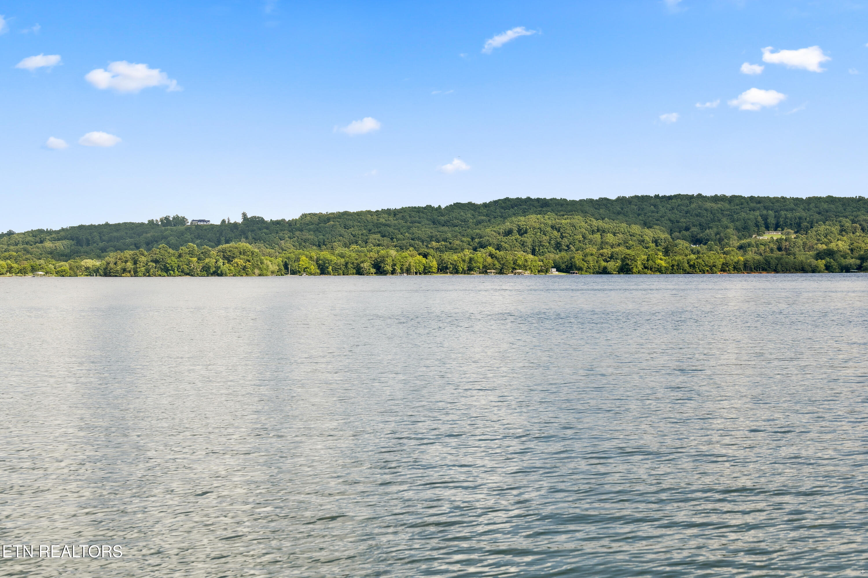 Bay Shore Drive Rockwood TN 37854