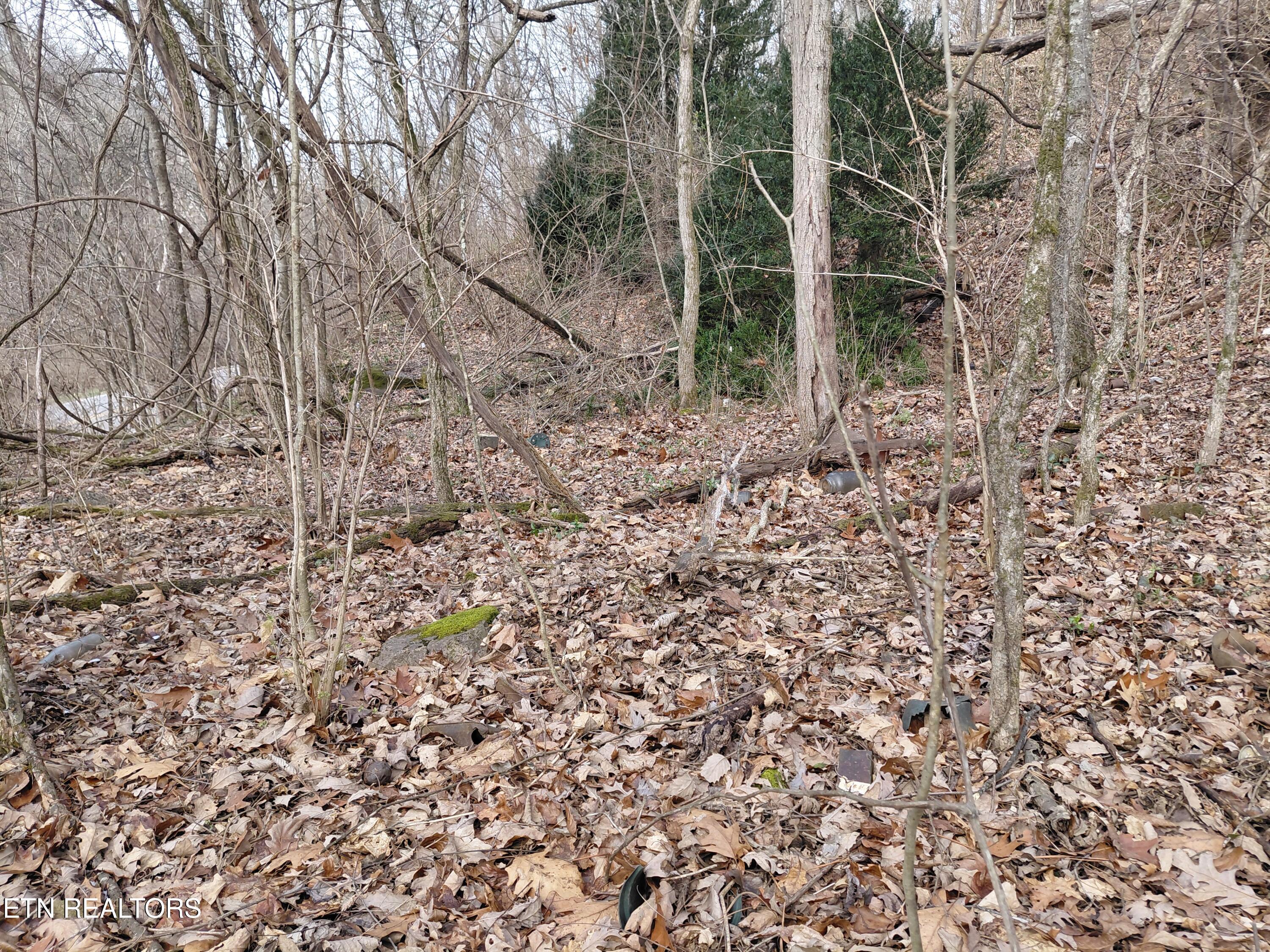 4266 Miser Station Road Louisville TN 37777