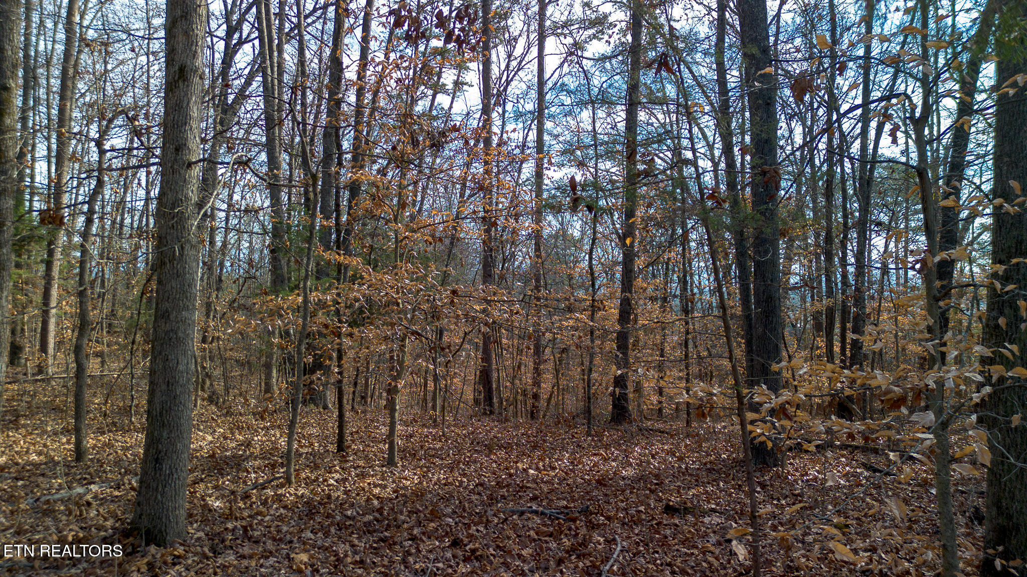 Tract 4 Armstrong Drive Dandridge TN 37725
