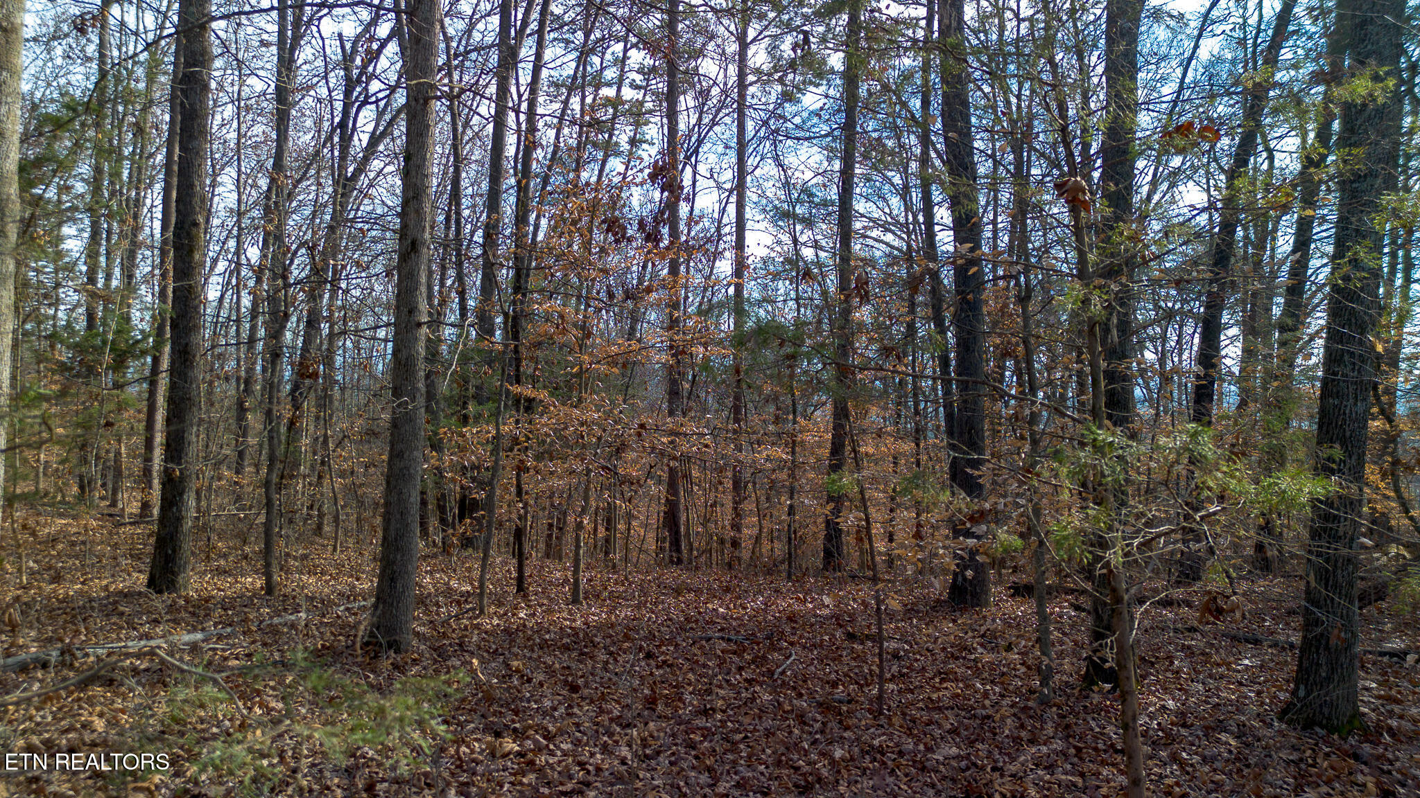 Tract 4 Armstrong Drive Dandridge TN 37725