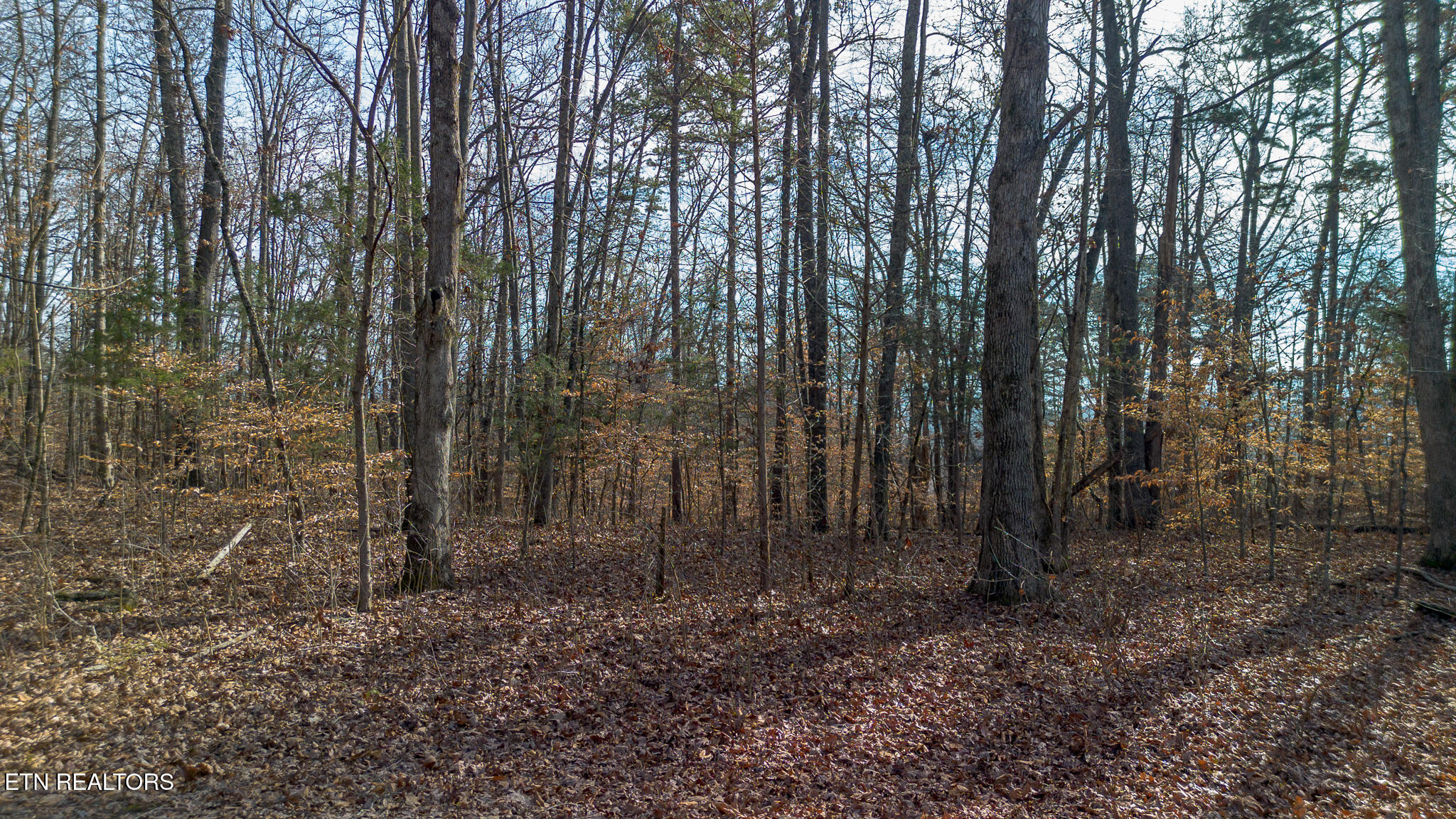 Tract 4 Armstrong Drive Dandridge TN 37725