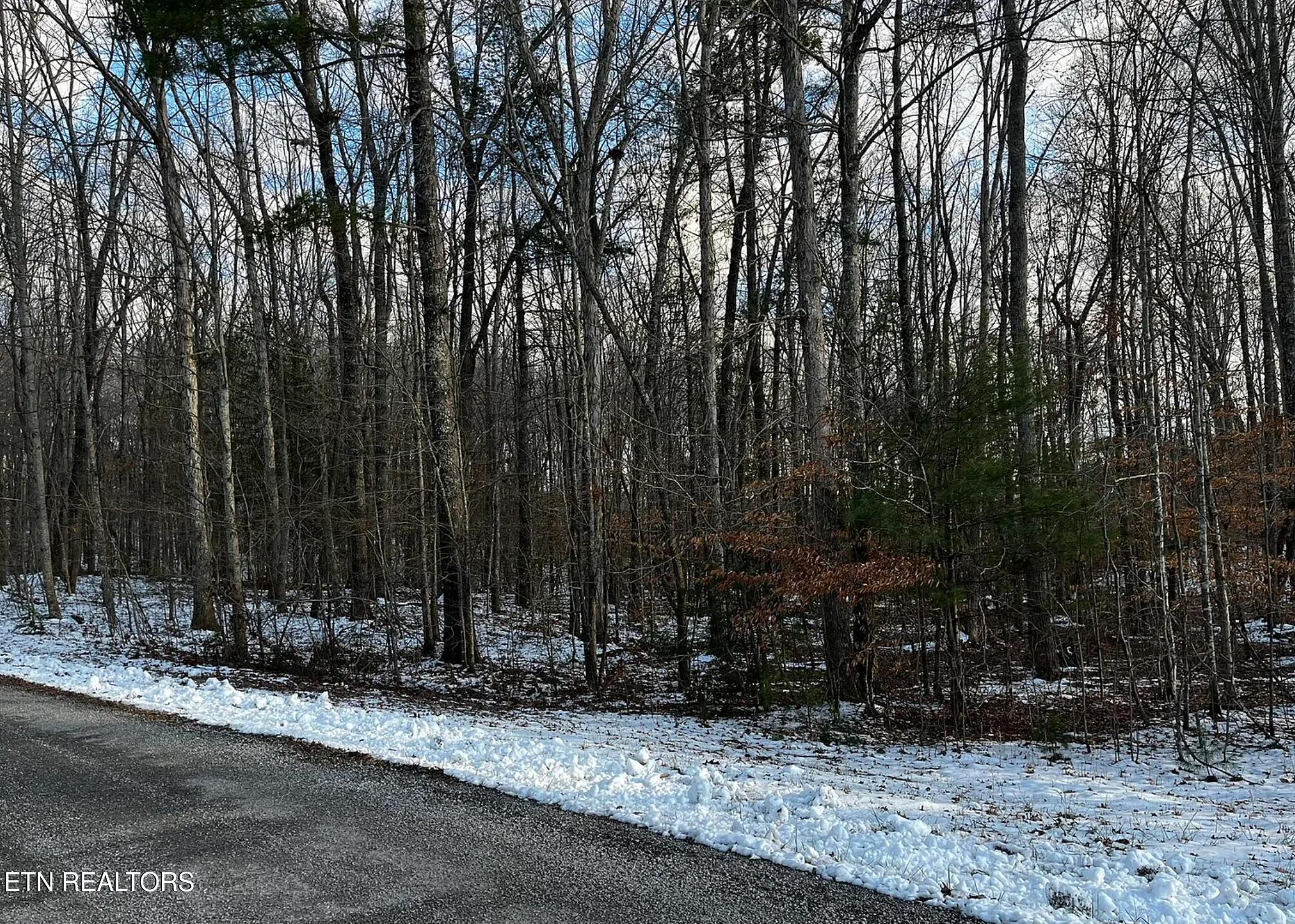 Lot 3 Evergreen Drive Oneida TN 37841