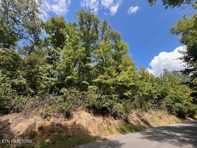 00 Overview Drive Gatlinburg TN 37738
