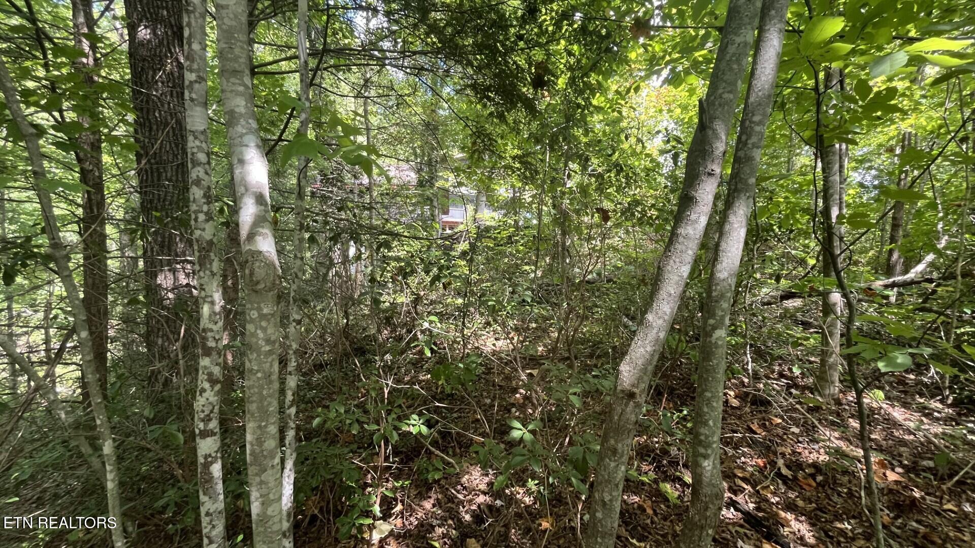 00 Overview Drive Gatlinburg TN 37738
