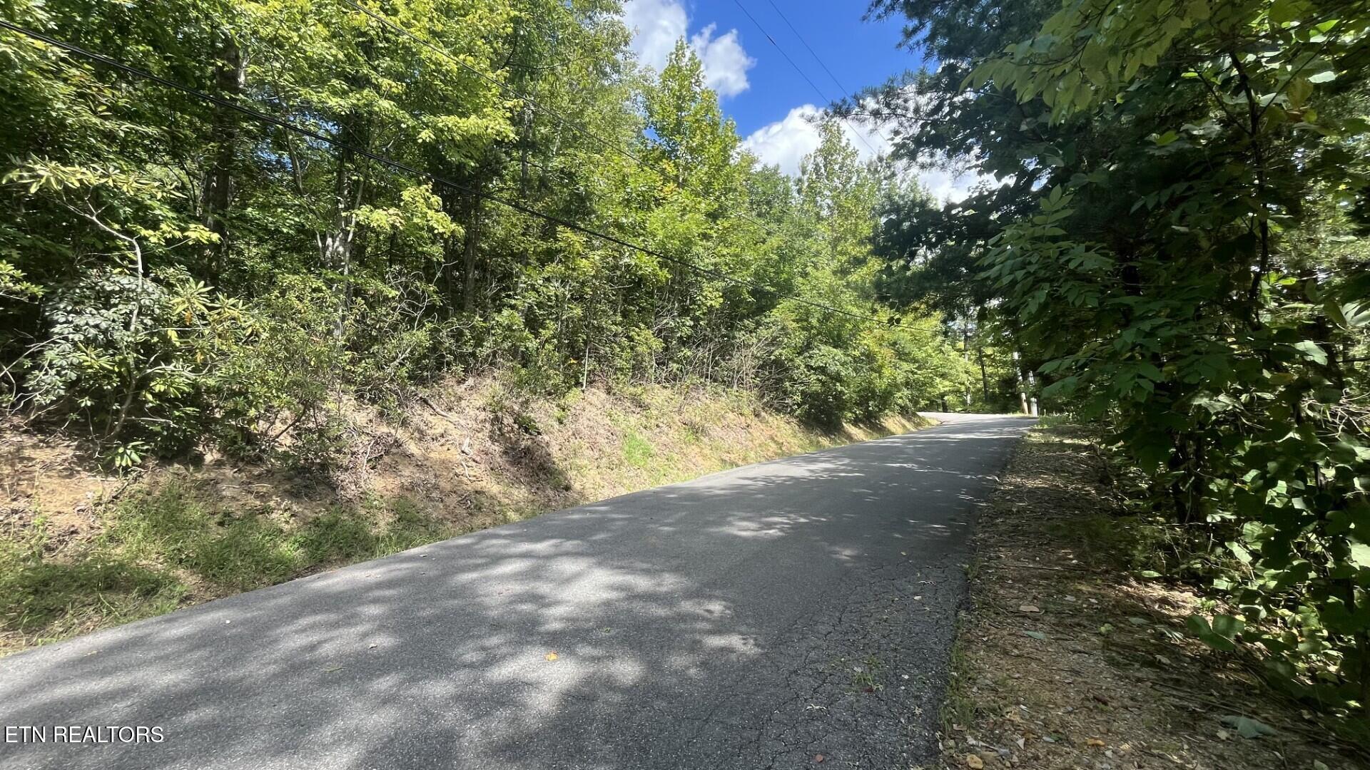00 Overview Drive Gatlinburg TN 37738