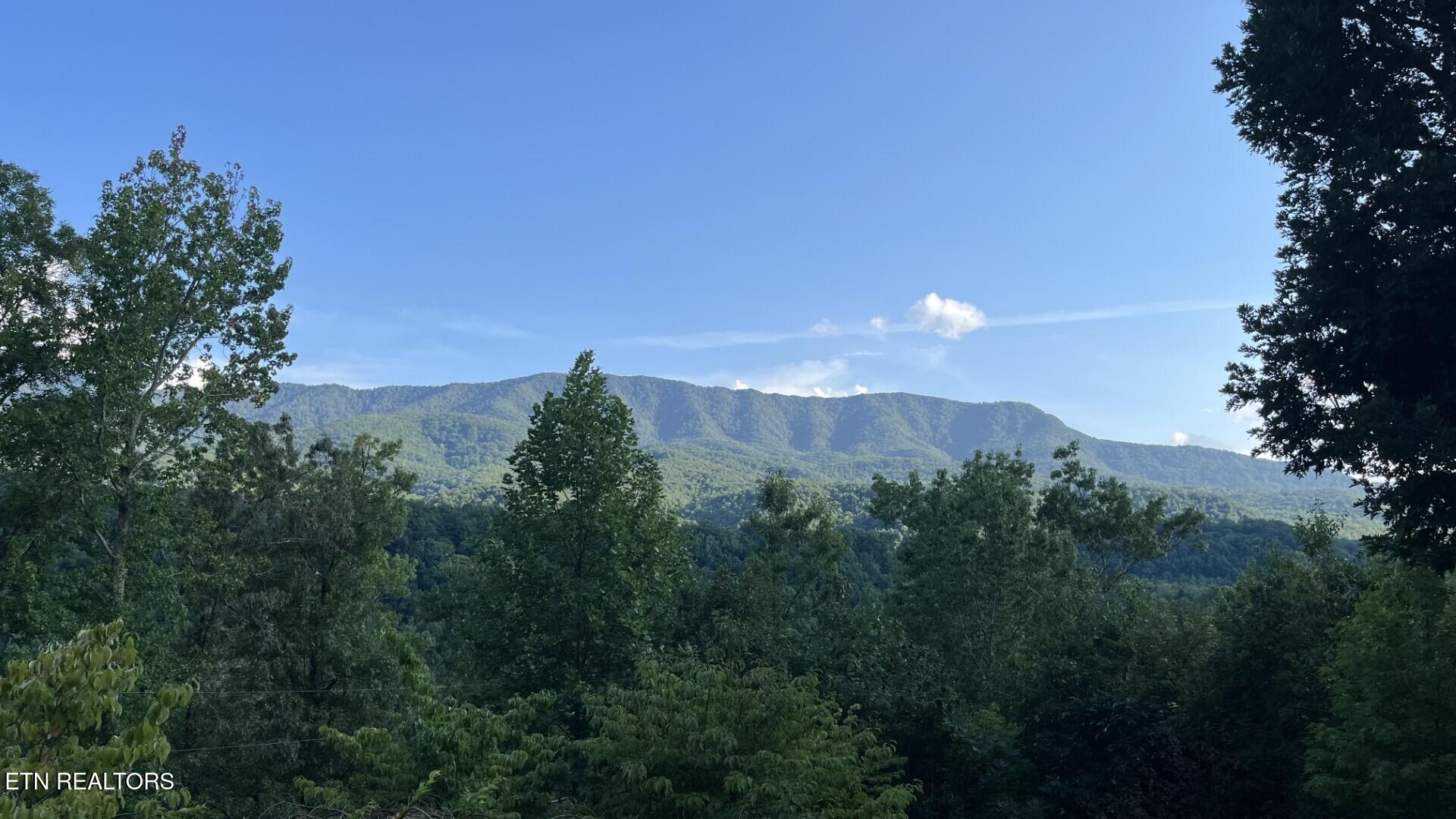 00 Overview Drive Gatlinburg TN 37738