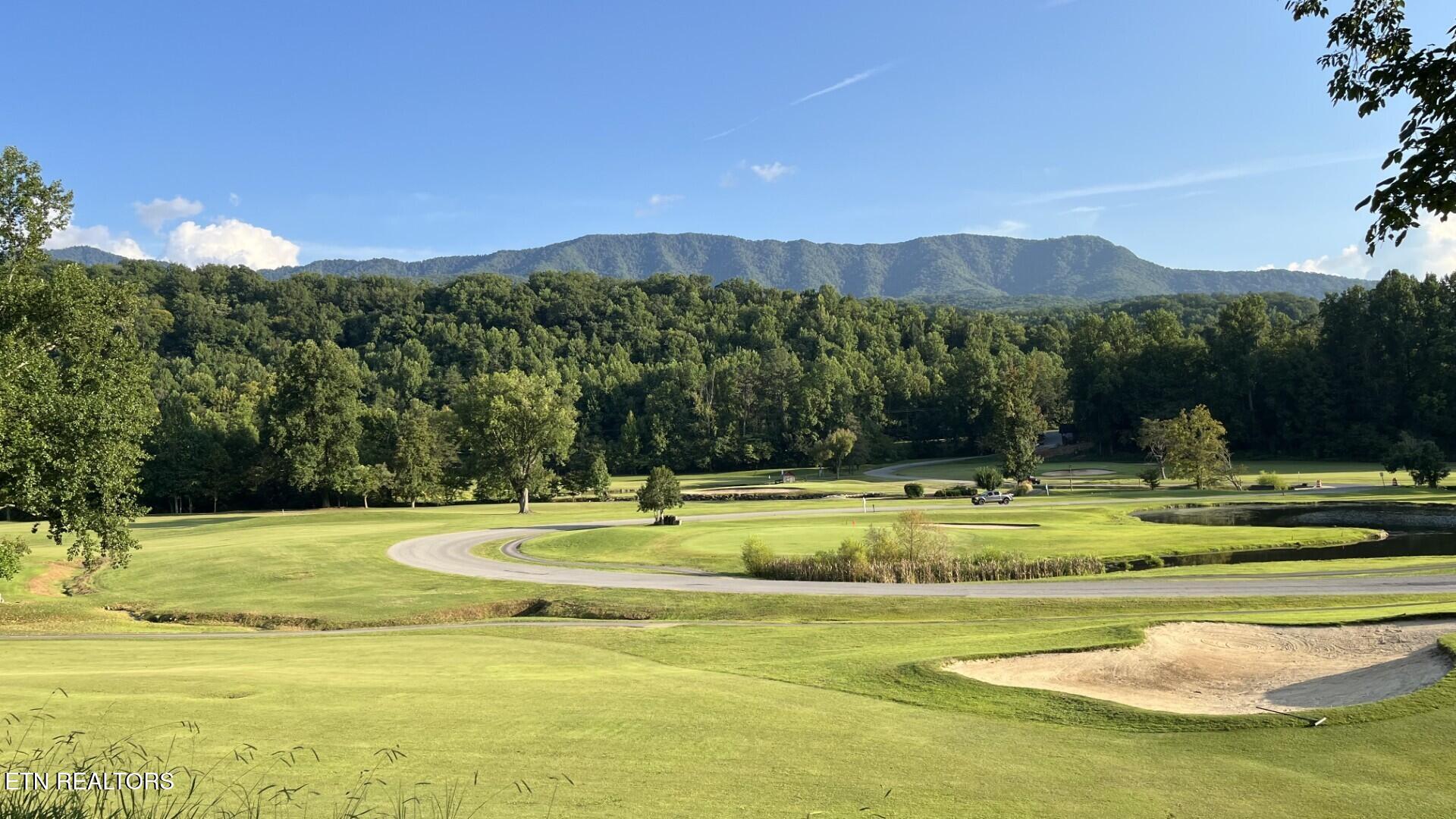 00 Overview Drive Gatlinburg TN 37738