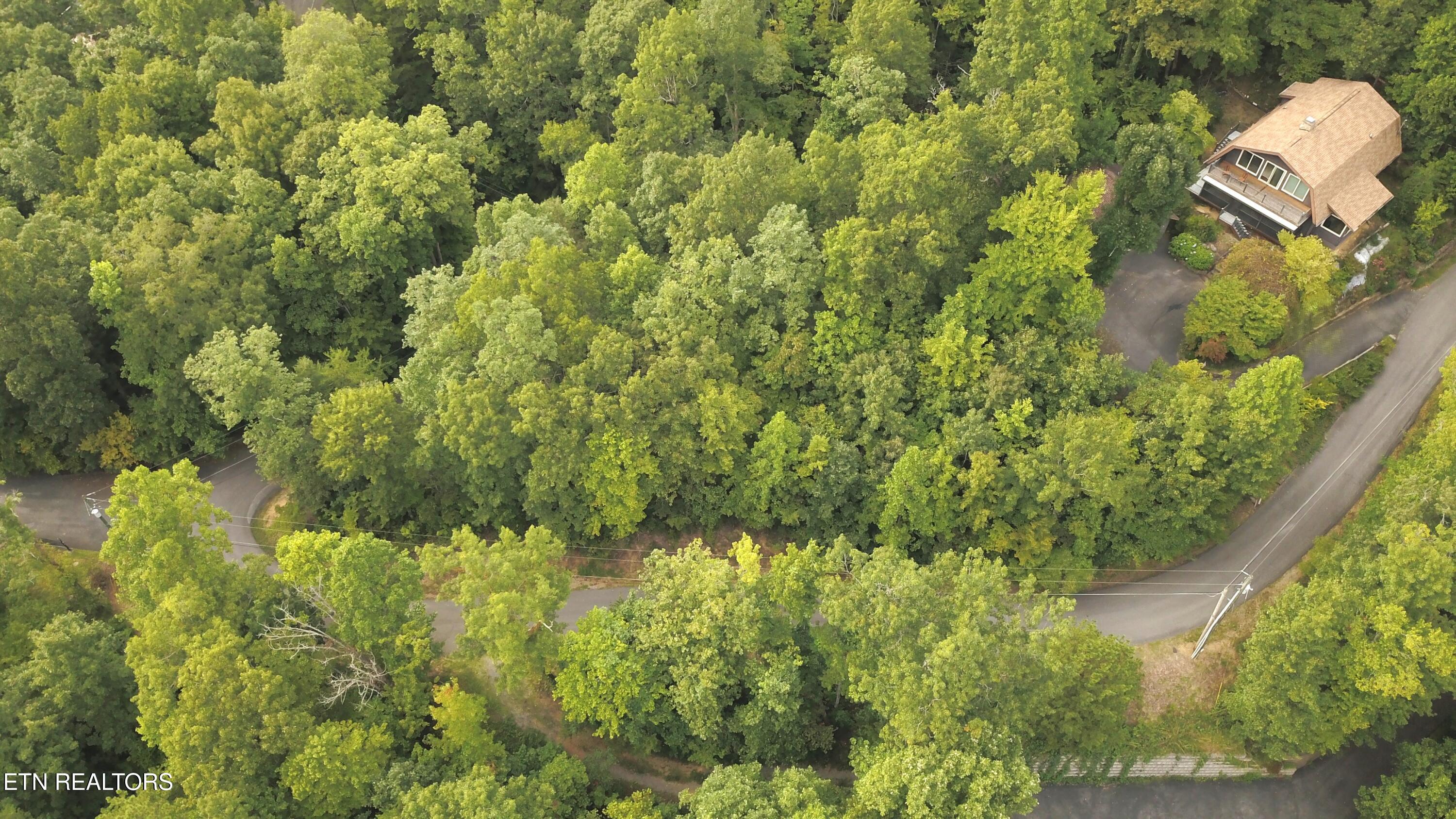 00 Overview Drive Gatlinburg TN 37738