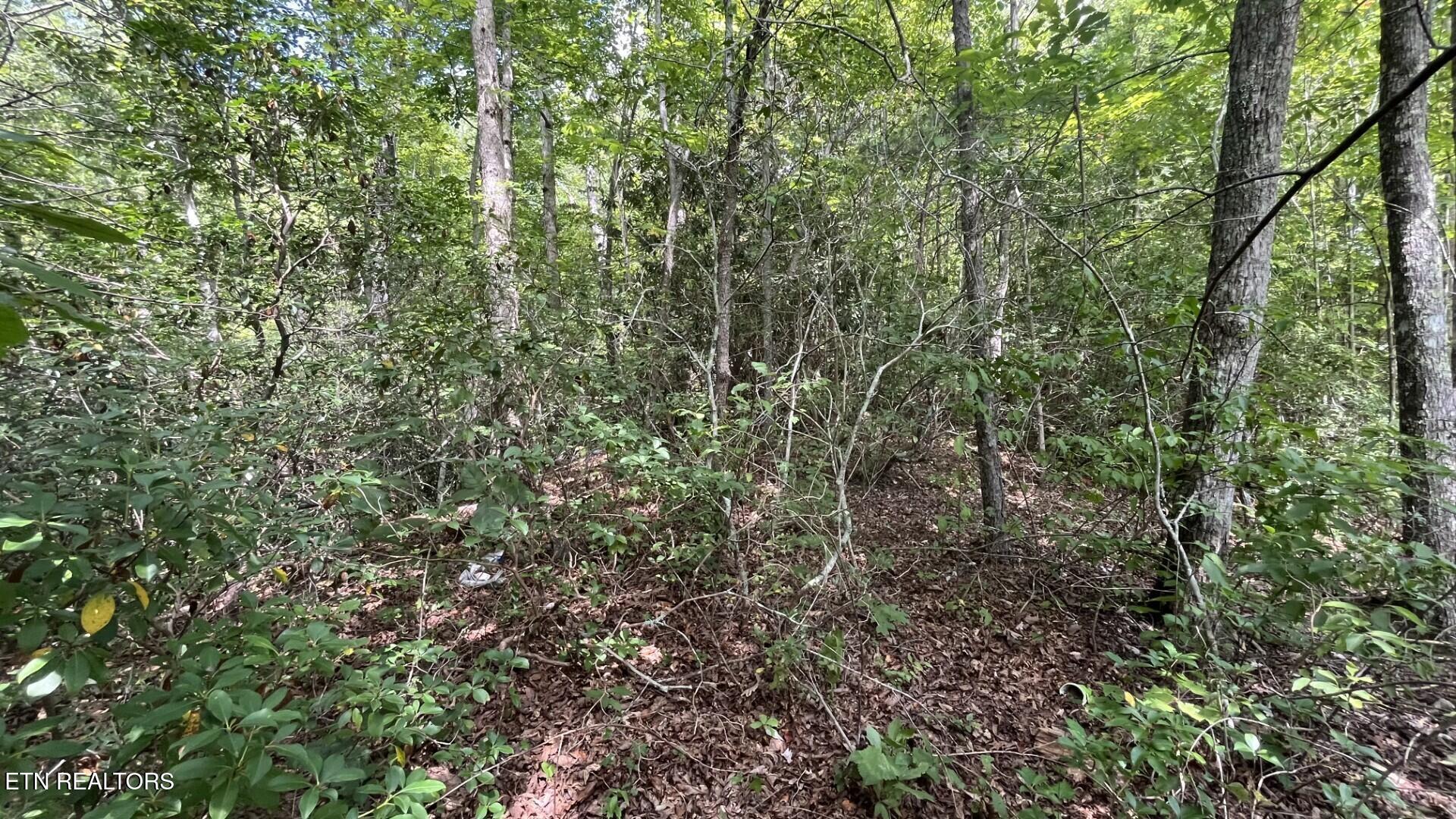 00 Overview Drive Gatlinburg TN 37738