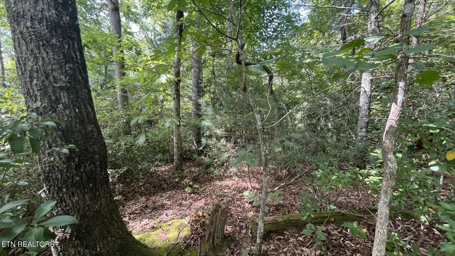 00 Overview Drive Gatlinburg TN 37738
