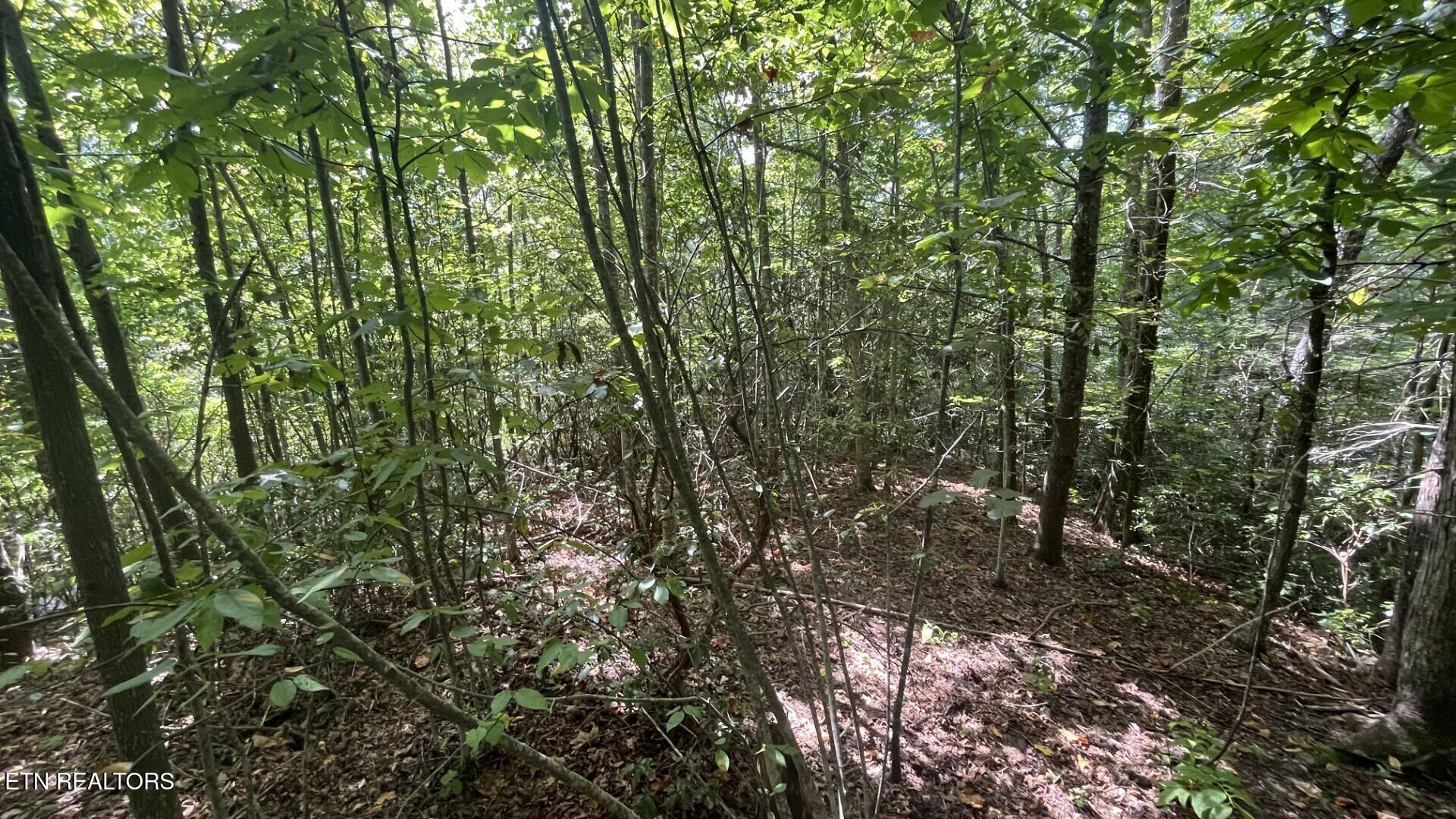 00 Overview Drive Gatlinburg TN 37738