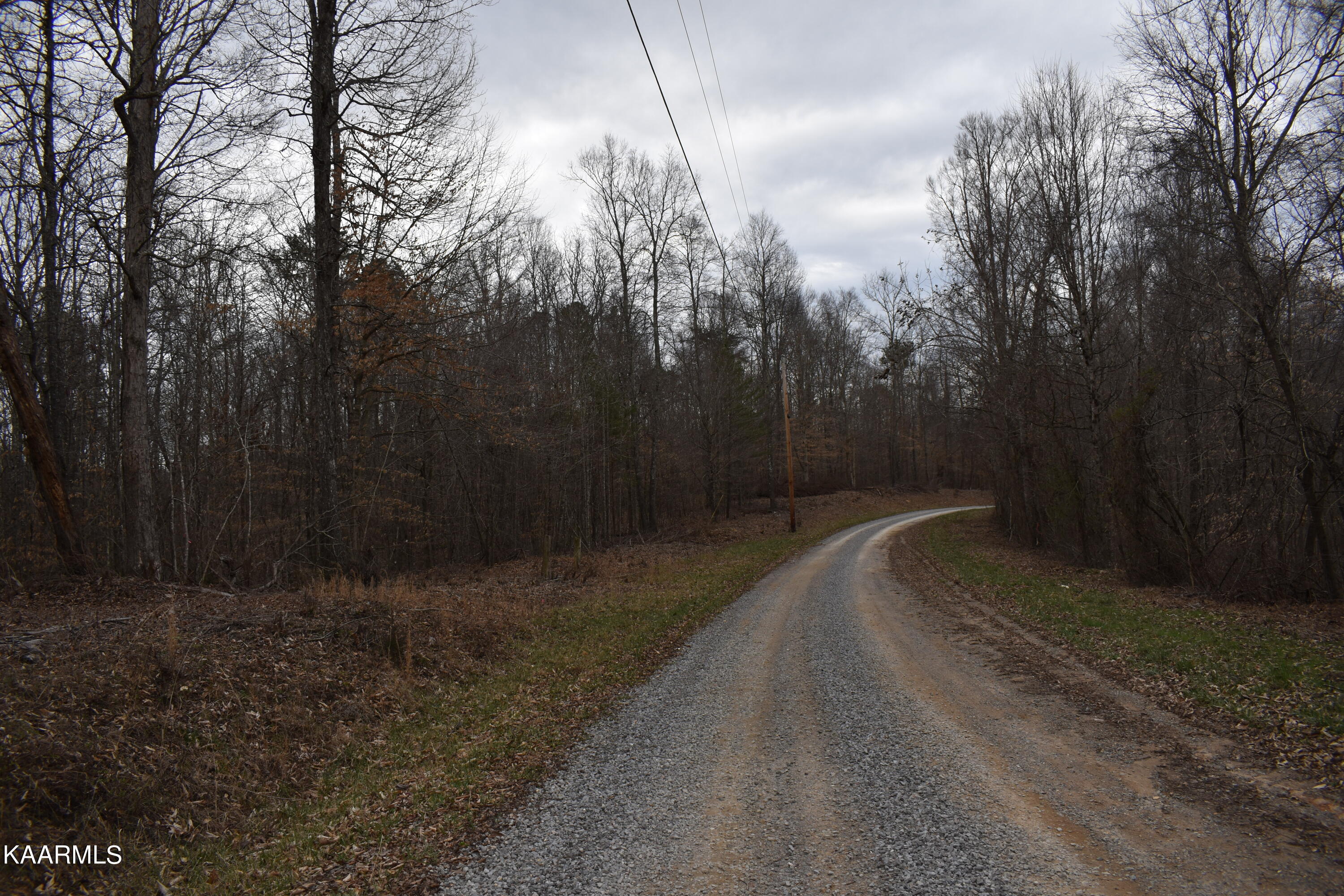 Lot 7 Jones Ridge Road Speedwell TN 37870