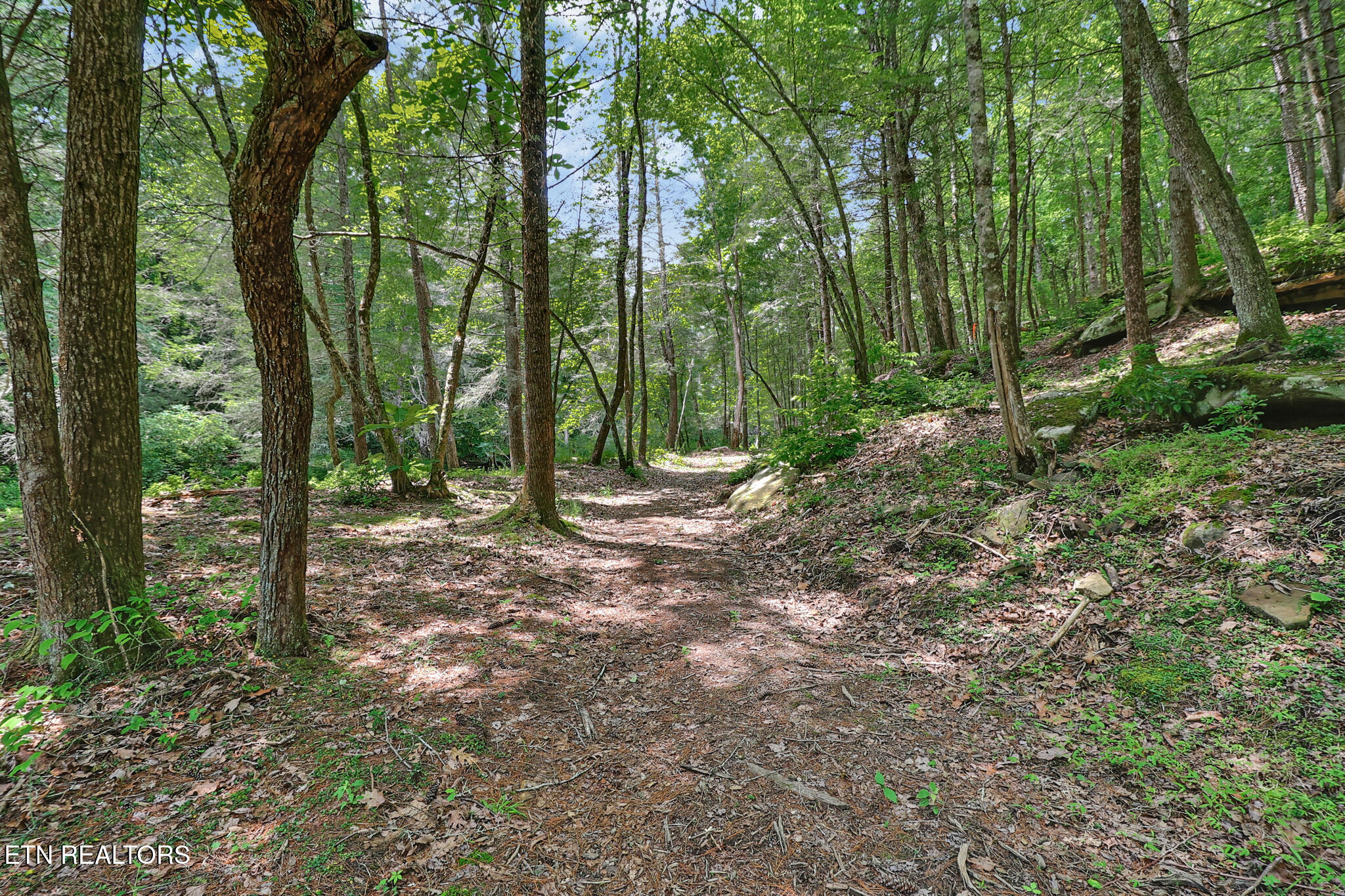 Noah Lane Crossville TN 38555