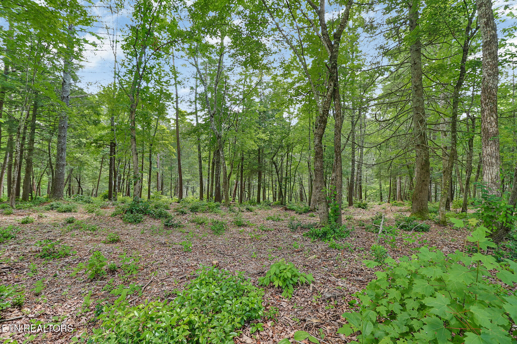 Noah Lane Crossville TN 38555