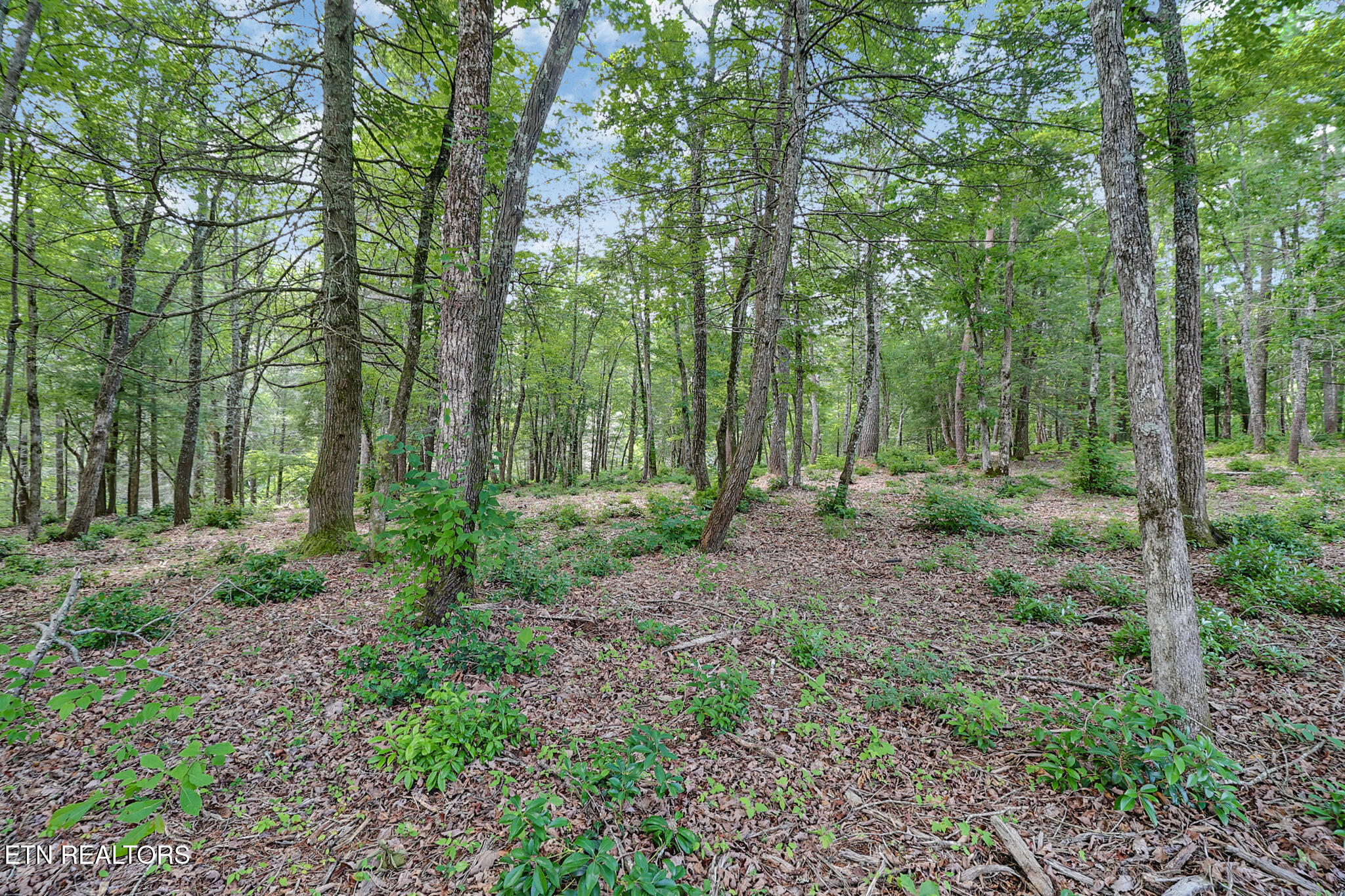 Noah Lane Crossville TN 38555