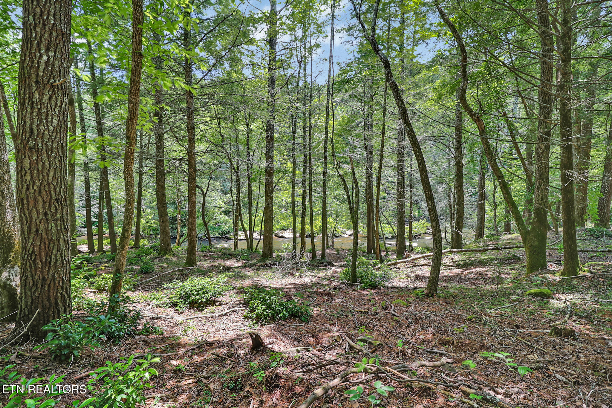 Noah Lane Crossville TN 38555