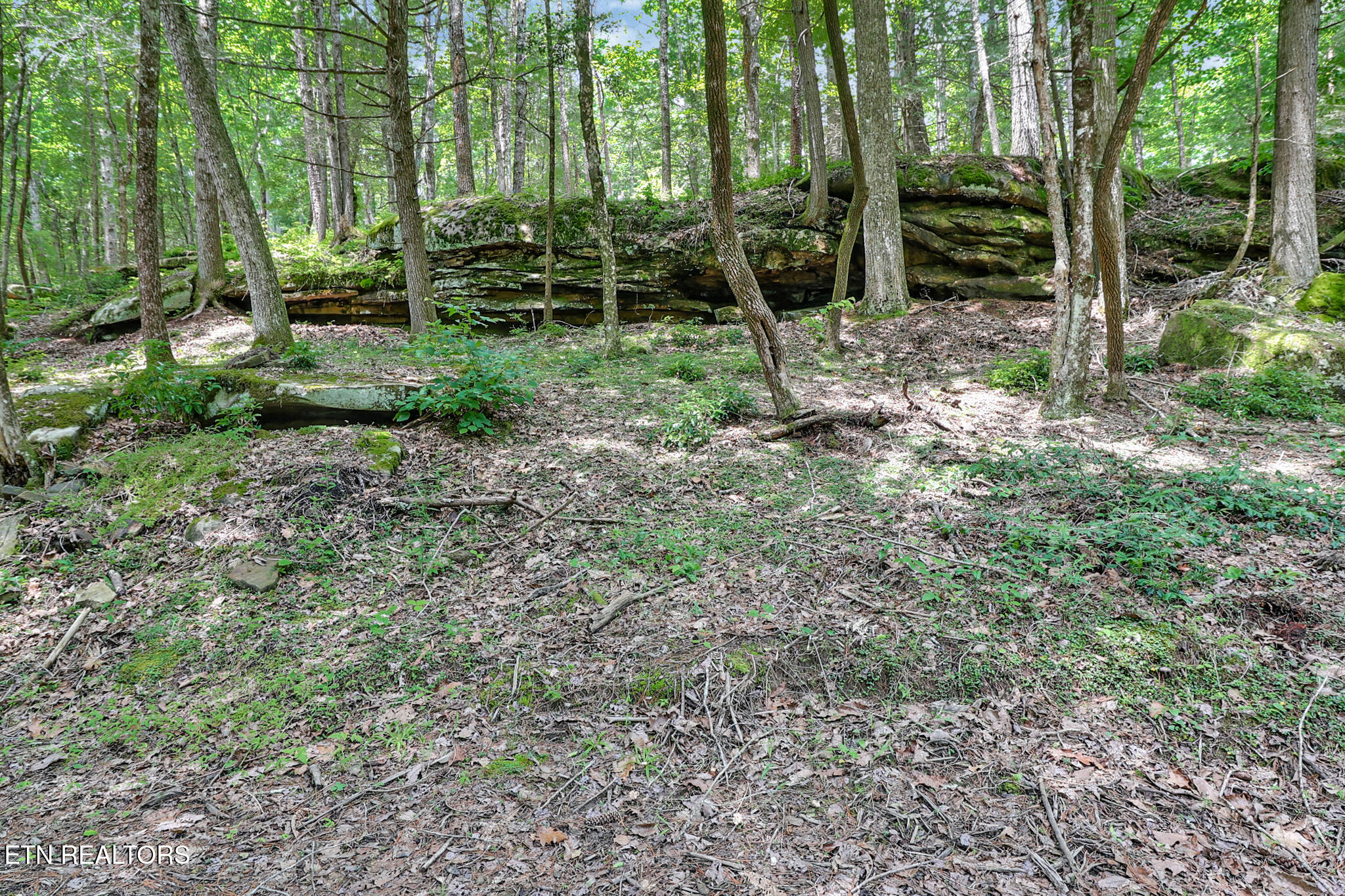 Noah Lane Crossville TN 38555