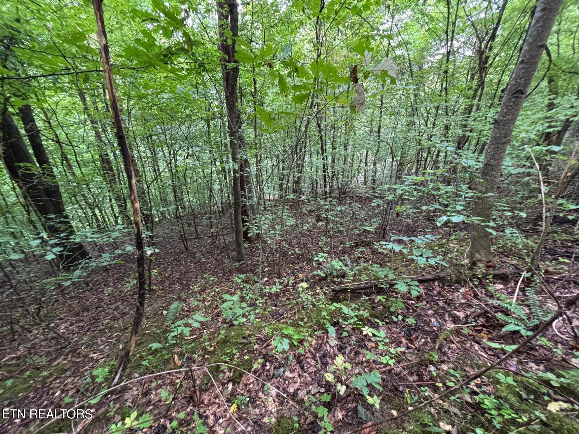 6TH Avenue Jellico TN 37762