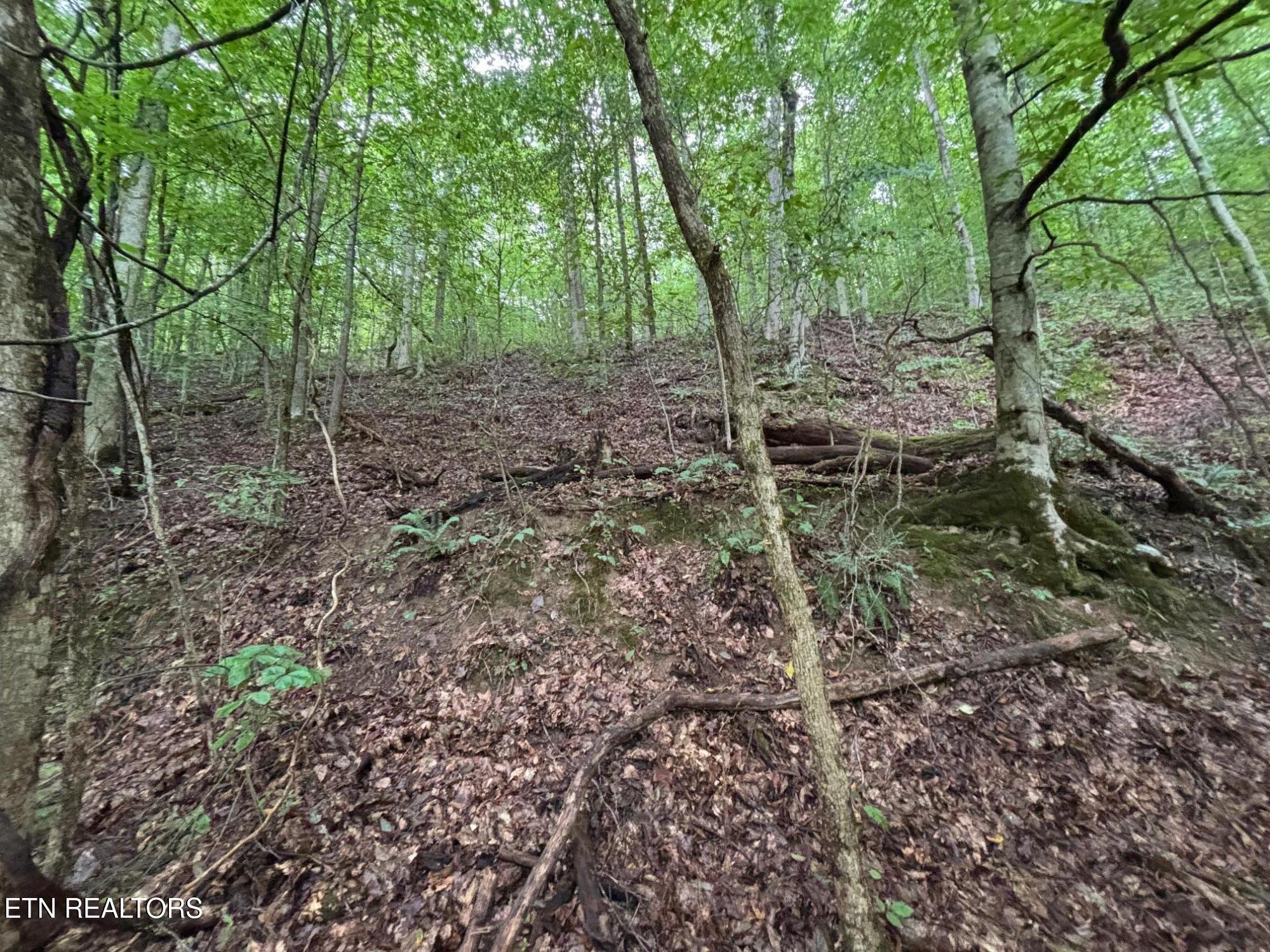 6TH Avenue Jellico TN 37762